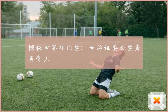 揭秘世界杯门票：专访组委会票务负责人