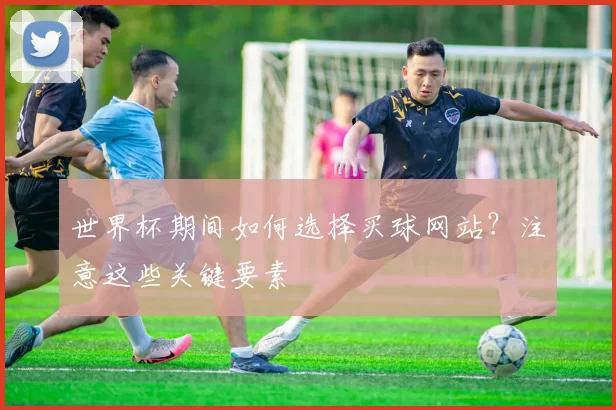 世界杯期间如何选择买球网站？注意这些关键要素