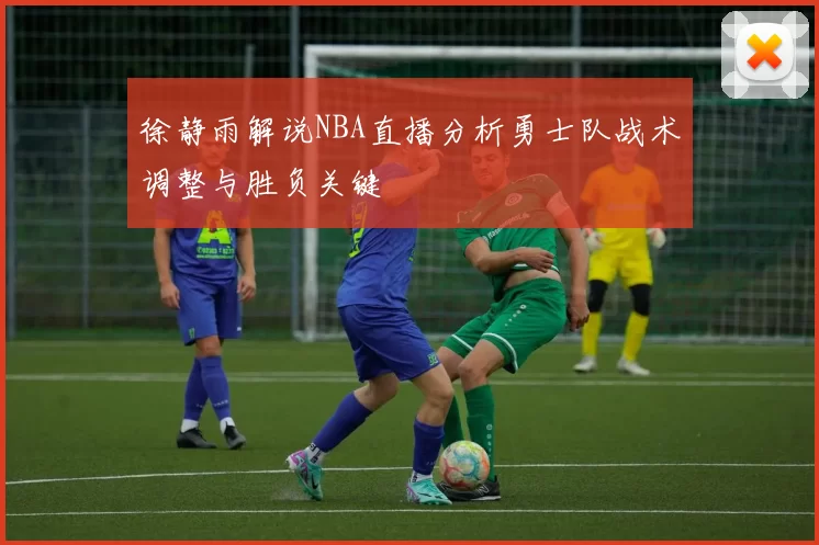 徐静雨解说NBA直播分析勇士队战术调整与胜负关键