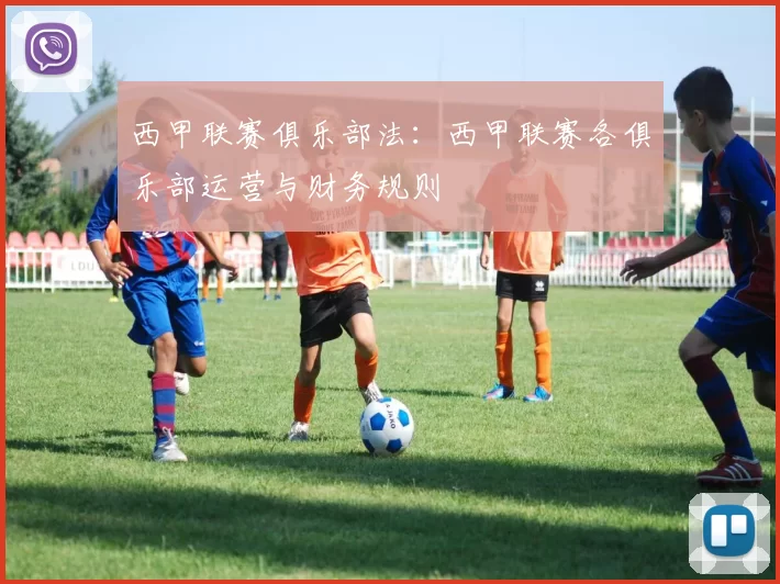 西甲联赛俱乐部法:西甲联赛各俱乐部运营与财务规则