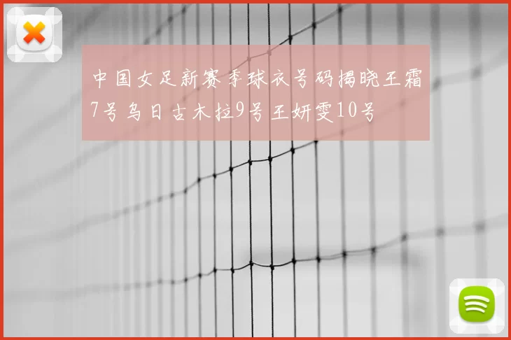 中国女足新赛季球衣号码揭晓王霜7号乌日古木拉9号王妍雯10号