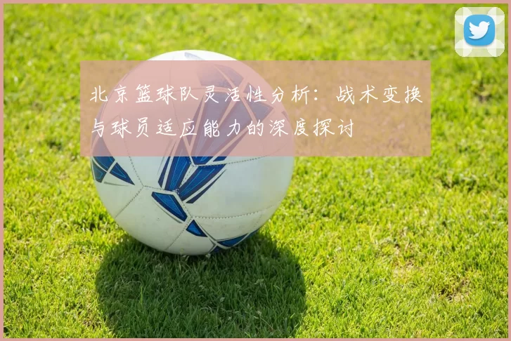 北京篮球队灵活性分析:战术变换与球员适应能力的深度探讨