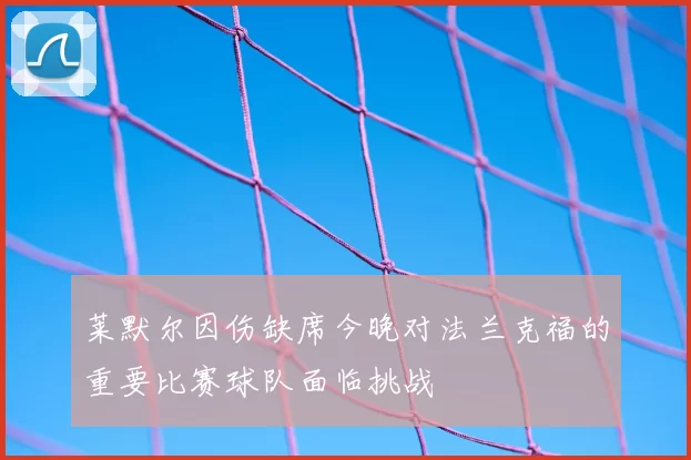 莱默尔因伤缺席今晚对法兰克福的重要比赛球队面临挑战