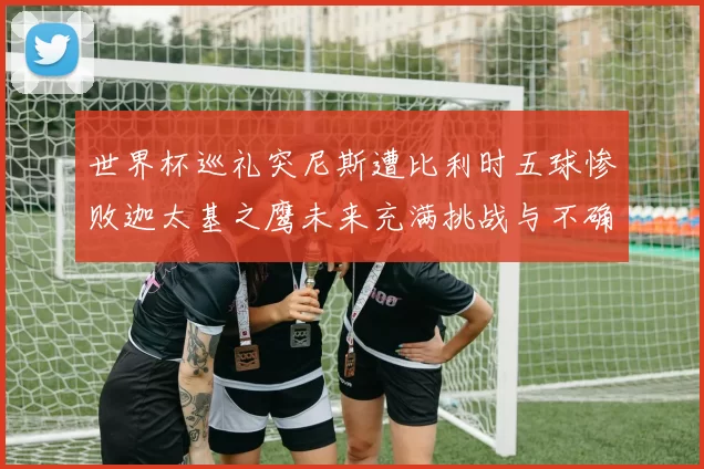 世界杯巡礼突尼斯遭比利时五球惨败迦太基之鹰未来充满挑战与不确定性