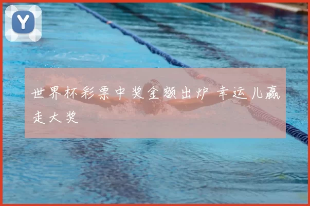 世界杯彩票中奖金额出炉 幸运儿赢走大奖