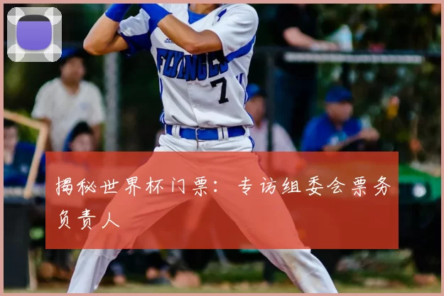 揭秘世界杯门票:专访组委会票务负责人