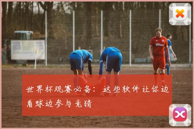 世界杯观赛必备:这些软件让你边看球边参与竞猜