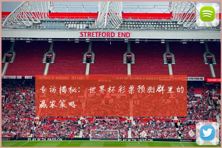 专访揭秘:世界杯彩票预测群里的赢家策略