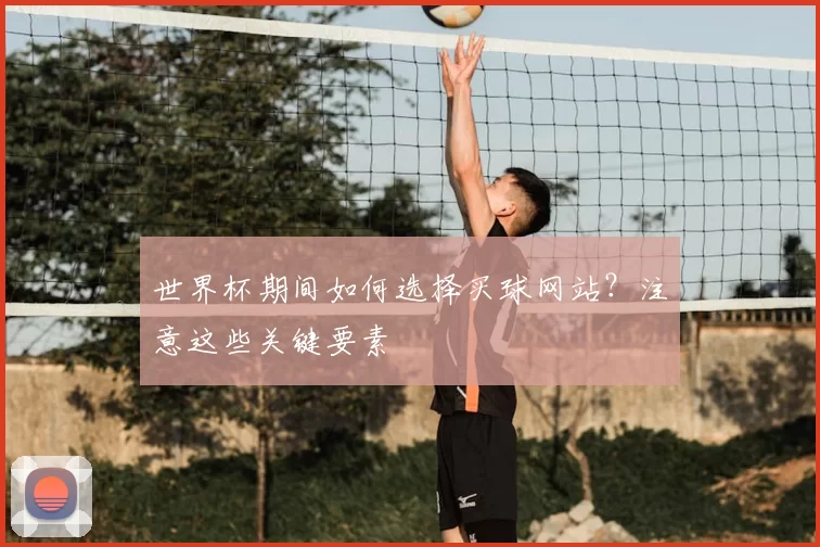 世界杯期间如何选择买球网站?注意这些关键要素