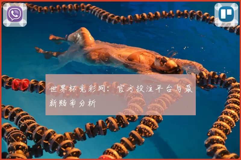 世界杯竞彩网:官方投注平台与最新赔率分析