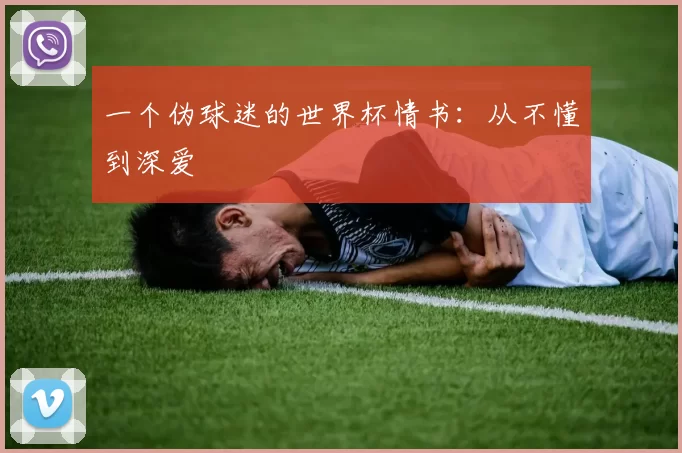 一个伪球迷的世界杯情书:从不懂到深爱