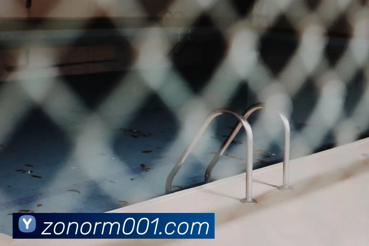 App Interface Preview