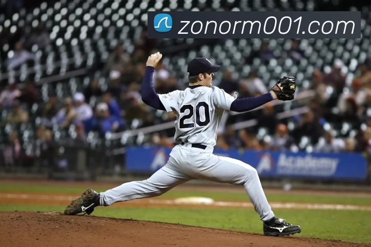 乐鱼体育APP 封面图